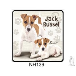 Jack russel