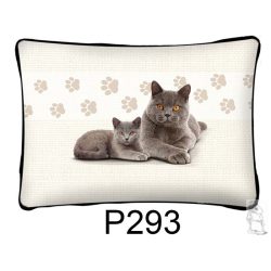 szögletes cica párna