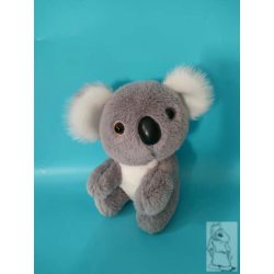 kis koala