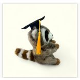 ballagó sapkás plüss mosómedve 18cm