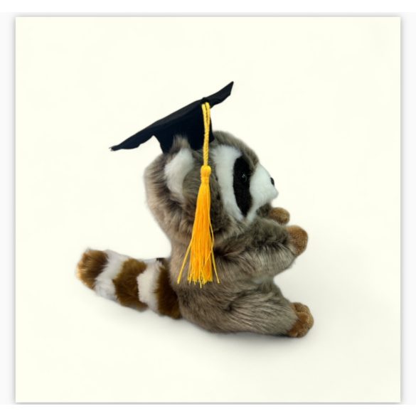 ballagó sapkás plüss mosómedve 18cm