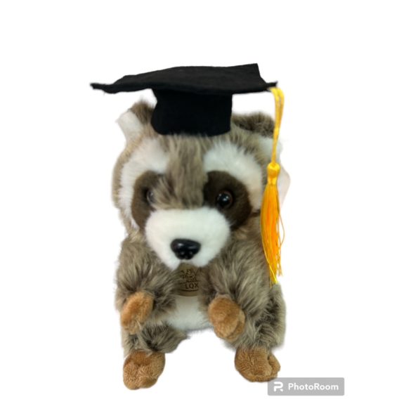 ballagó sapkás plüss mosómedve 23cm