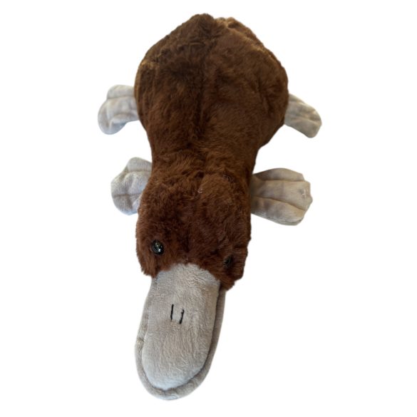 kacsacsőrű emlős 33cm hosszú