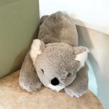 Plüss fekvő koala 40cm