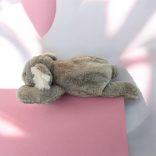 Plüss fekvő koala 40cm